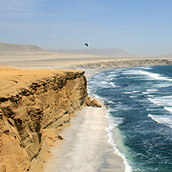 Paracas